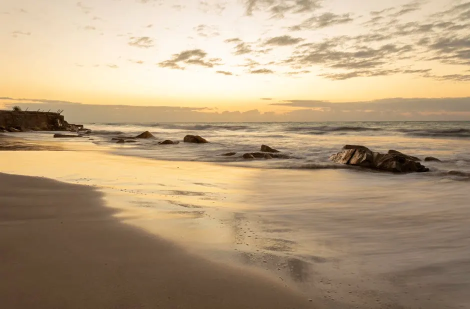 Il periodo ideale per tuffarsi: quando partire