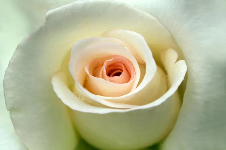 Il centro storico di Cecina