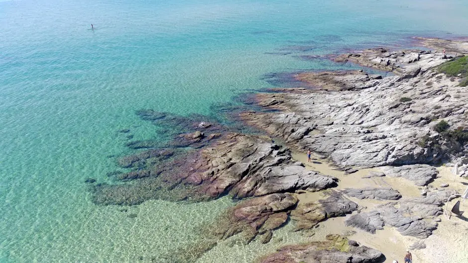 Vista panoramica di Monte Argentario con acque cristalline e coste frastagliate.