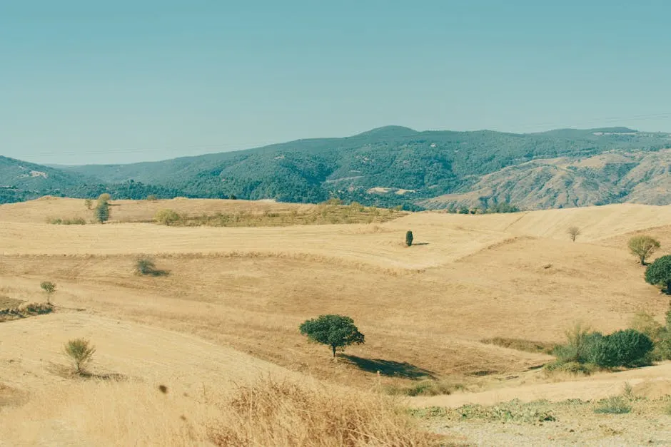 Vista panoramica del mare a Guardistallo con spiagge e attività
