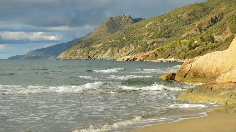 I tempi migliori per visitare