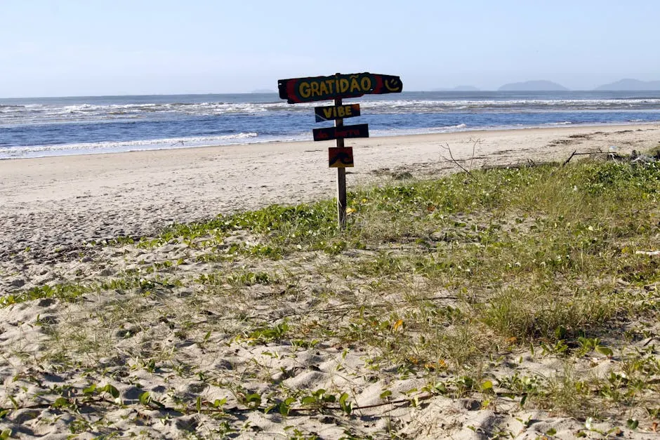 Le calette nascoste: tesori da scoprire