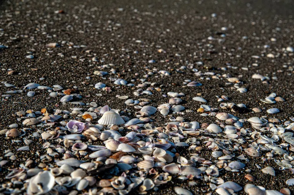 Come arrivare e muoversi